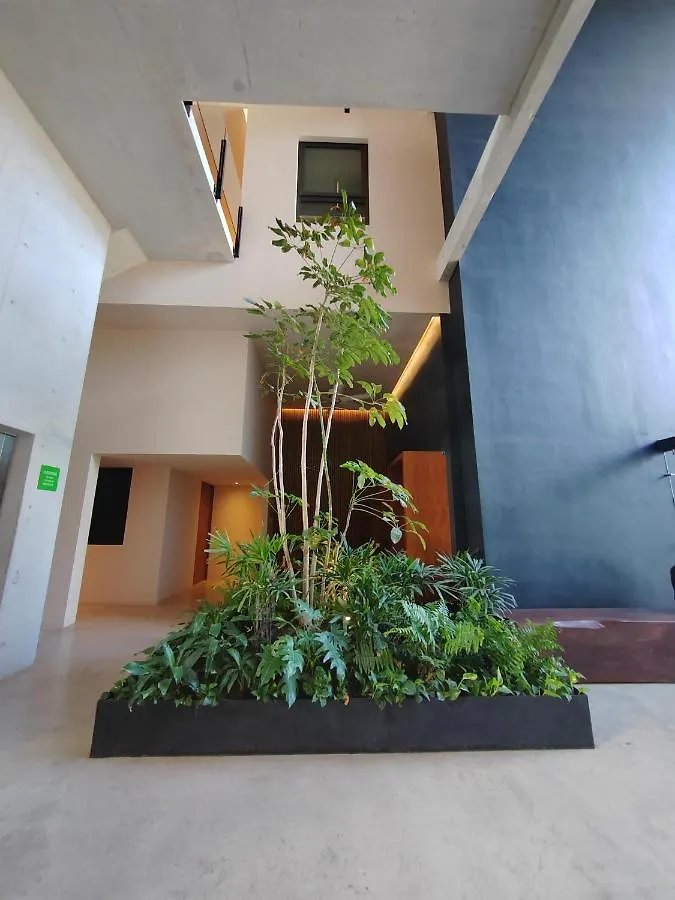 Διαμέρισμα Incredible & Beautiful Studio Steps From The Beach By Yeah Πλάγια Ντελ Κάρμεν Μεξικό