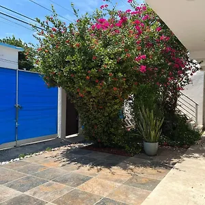 https://casa-nuria.allrivieramayahotels.com